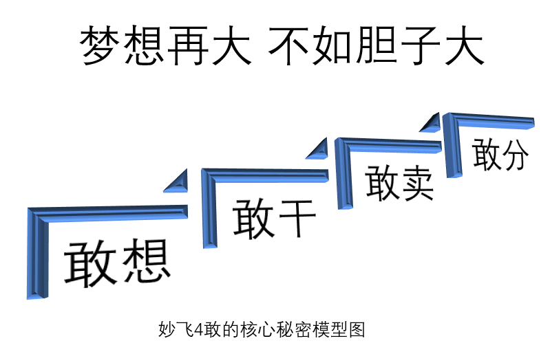 妙飞4敢核心秘密模型图